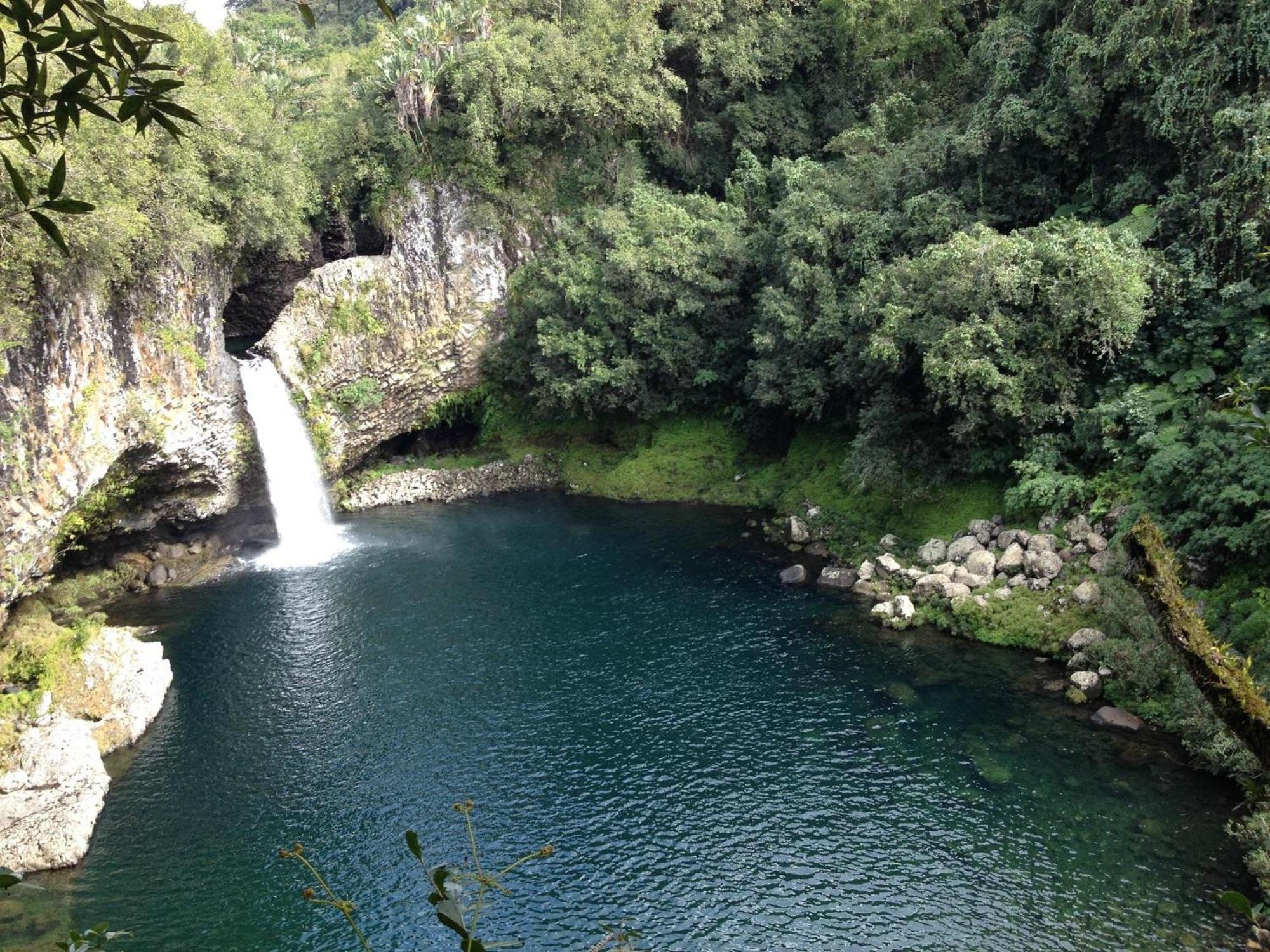 Le Beau Vallon 1- Jacuzzi Privatif Et Piscine Chauffee Partagee Saint Benoit Luaran gambar